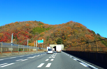 Wall Mural - 秋の高速道路をドライブ