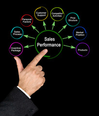 Poster -  Eight Drvers of Sales Performance