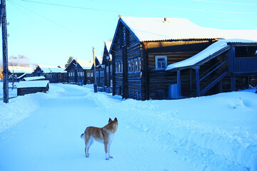 Wall Mural - winter landscape russian village north wooden house