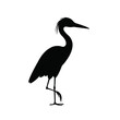 Vector silhouette of a heron standing on one leg