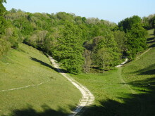 Distant Green Landscapes In A Very Sloping Hilly Green Area With Trees And Sky