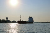 Fototapeta  - Large cargo ship in Danube Delta