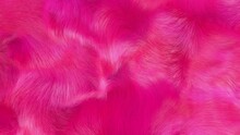  Hot Pink Fluffy Plush Fur Texture 3d Animation.