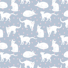 Blue Pattern White Cats Pink Paws