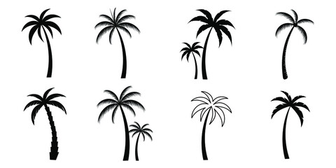 palm tree silhouettes. Tree and root silhouette isolated on white background.