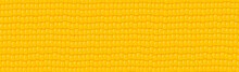 Panoramic Yellow - Orange Corn Grain Background - Vector