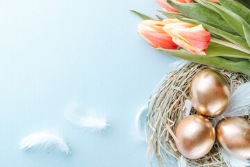 Wall Mural - Easter symbol. Golden eggs in basket with spring tulips, white feathers on pastel blue background in Happy Easter decoration. Congratulatory easter flat lay design.