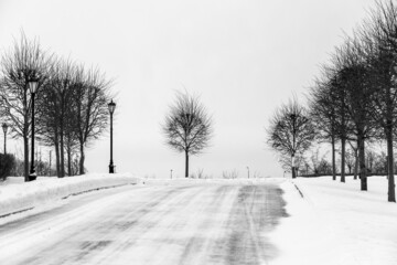 Wall Mural - Snowy park view with frozen road and bare trees in winter