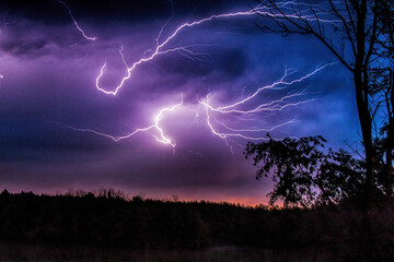 Wall Mural - A linear lightning in a purple sky at the night