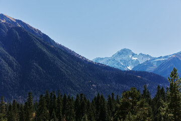 Wall Mural - mountain forest panorama open air summer vacation environment