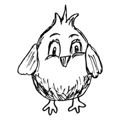 Wall Mural - Portrait of a cute little nestling. Black and white vector rough sketch isolated on transparent background