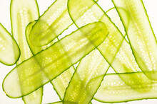 Beautiful Fresh Transparent Cucumber Slices On White Background