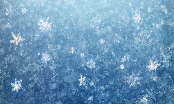 Wall Mural - Snow in winter close-up. Macro image of snowflakes, winter background. Nice background on the theme of winter, christmas, new year. Frost Winter texture iced surface,.