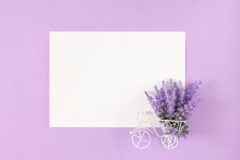 Small Bicycle With Lavender Bouquet In Basket And White Paper Sheet. Spring Minimalist Background