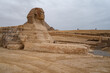 Great Sphinx against the background of the pyramids of the pharaohs Cheops  in Giza, Egypt