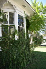 A vertical shot of some plants in the background of a vintage house in Rockmart GA.