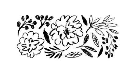 collection of hand drawn graphic flower and leaves. floral clip art elements. branches, leaves and b