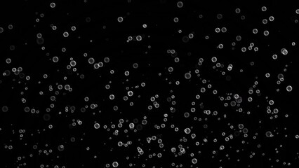 Wall Mural - rising water bubbles on black background