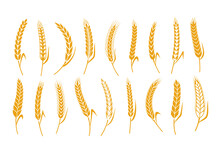 Vector Cereal Crops Icons. Wheat, Oat, Rye And Barley Symbols