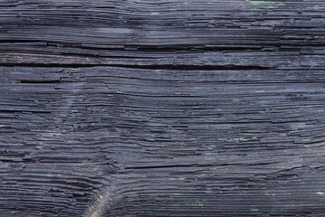 Sticker -  wooden texture of black gray crack on the old board in the wall