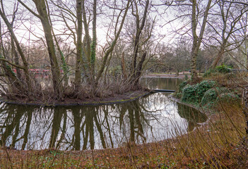 Wall Mural - Weiher im Kölner Volksgarten