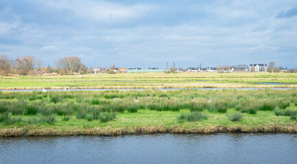 Wall Mural - view of the rural polder landscape and the village of boskoop in the western part of the netherlands