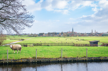 Wall Mural - view of the rural polder landscape and the village of reeuwijk-dorp in the western part of the nethe