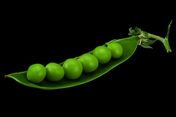 Wall Mural - Peas with bean on black