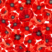 Vector Seamless Pattern With Red Poppy Flowers.