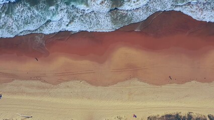 Canvas Print - Recreation at Curl Curl sandy beach of Sydney Northern beaches – 4k.
