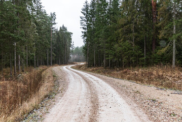 Wall Mural - Winding gravel forest road in Latvia.