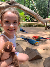 Happy Little Girl Watching The Macaws Feeding.