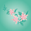 Vector illustration of pink flowers