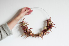 Arm Of Woman Holding Wreath Made Of Various Dried Flowers