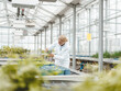 © Westend61 - Agronomist doing research on plants in greenhouse