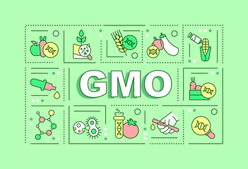 Wall Mural - gmo word concepts green banner. genetically modified organism. infographics with icons on color back