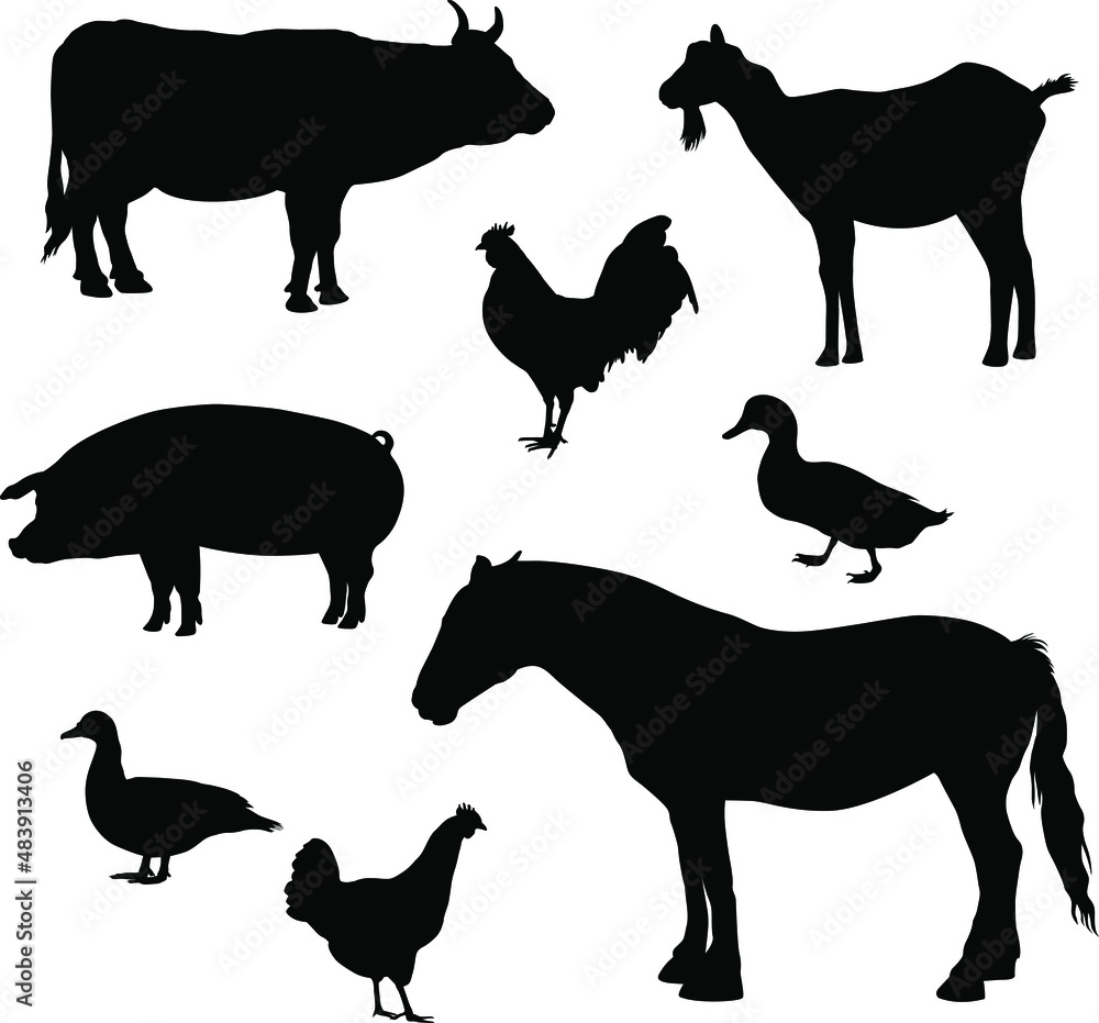 Farm animals silhouettes. Collection of domestic cattle. Vector ...