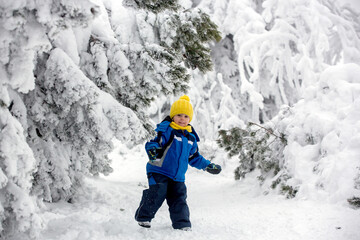 Poster - Sweet happy child, playing in deep snow