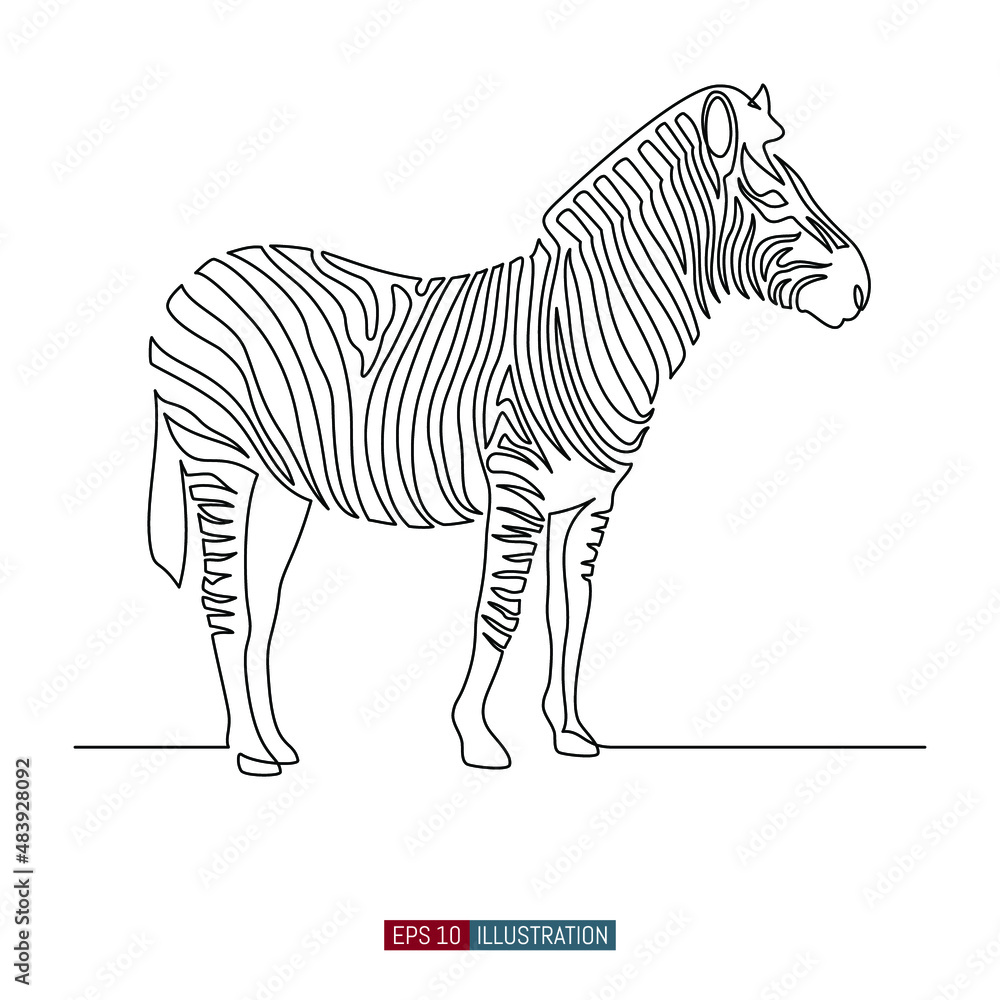 Zebraa Line Drawing Continuous line drawing of Zebra.Template for your design. Vector ...