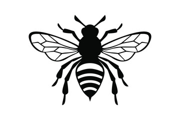 Honey Bee icon, honey bee silhouette on white background