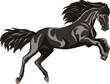 Horse, image of a galloping horse, portrait of a horse for a logo in black tones