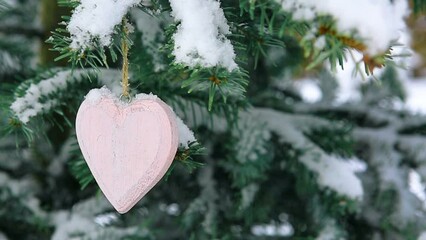 Wall Mural - pink heart on snow covered pine branch .valentines day background.