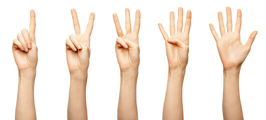 female hands counting from 1,2,3,4,5 isolated on white. beautiful female fingers show countdown zero