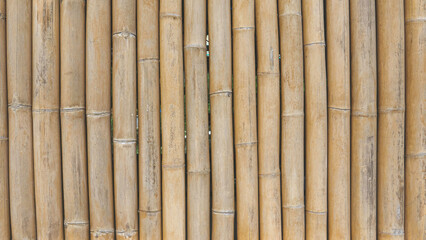 bamboo plank fence texture for background.