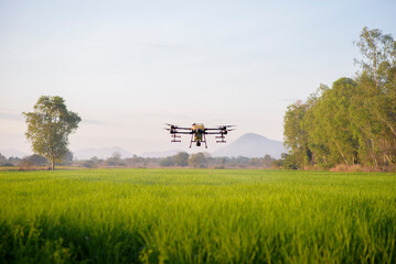 Agriculture drone flying and spraying fertilizer and pesticide over farmland,High technology innovations and smart farming