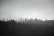 Low Hanging Fog Over The Mountains In Coastal Oregon