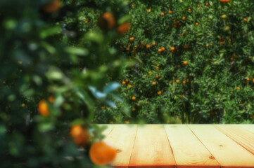 Wall Mural - Empty wood table with free space over orange trees, orange field background. For product display montage