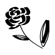 Marker Bright Black White Rose With Leaves Hand Drawn Line Stroke