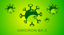 Omicron BA.2 Virus Variant