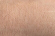 Macro of human skin with hair. Human skin texture